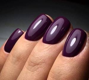 Eggplant color