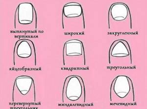 Nail shapes