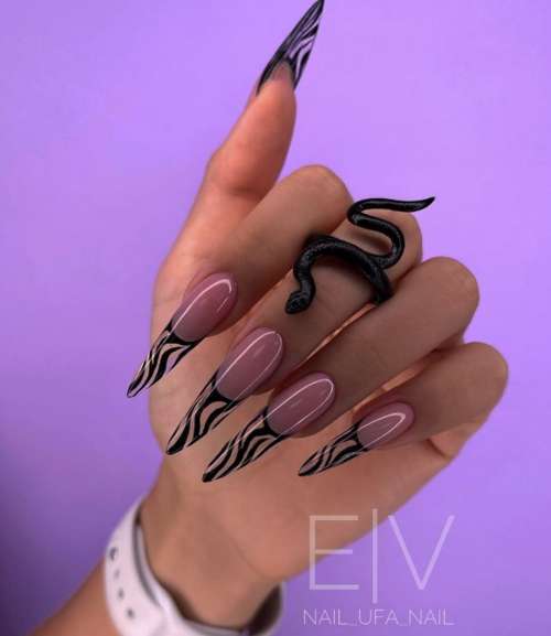 French zebra design