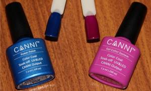 gel polishes kanni review