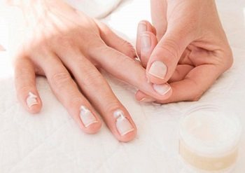 The cuticle needs regular hydration and nutrition