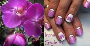 Manicure with orchids photo 2022 spring ideas options