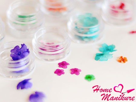 dried flowers for nails