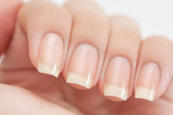 Well-groomed fingers with neat cuticles