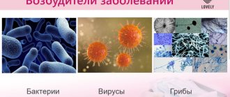 Types of infections