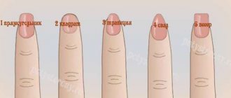 types of nail plates